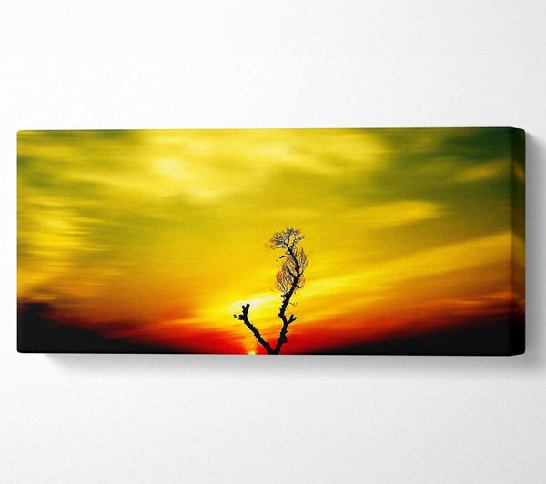 Stunning Sky Delight
