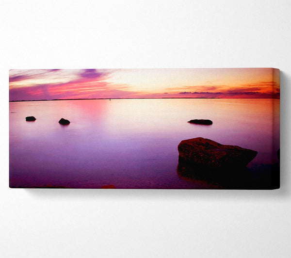 Tranquil Lilac Calm