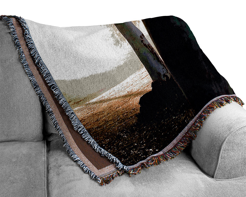 Morning Sunbeam Trees Woven Blanket