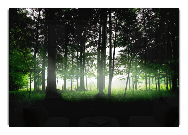 Woodland Mist