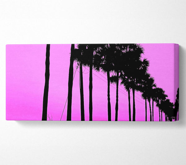 Cute Trees