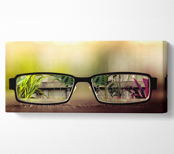 Clear Vision