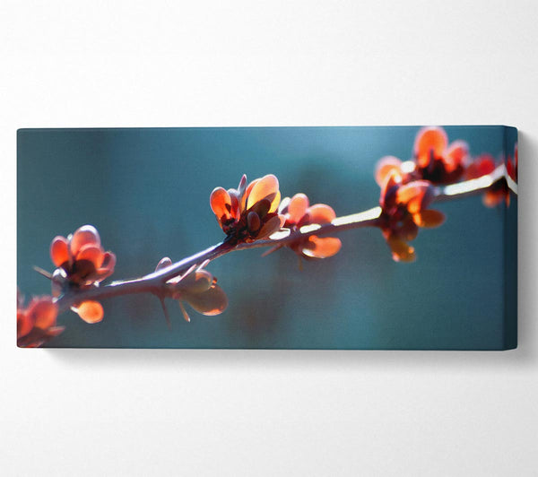 Spikey Flower Branch