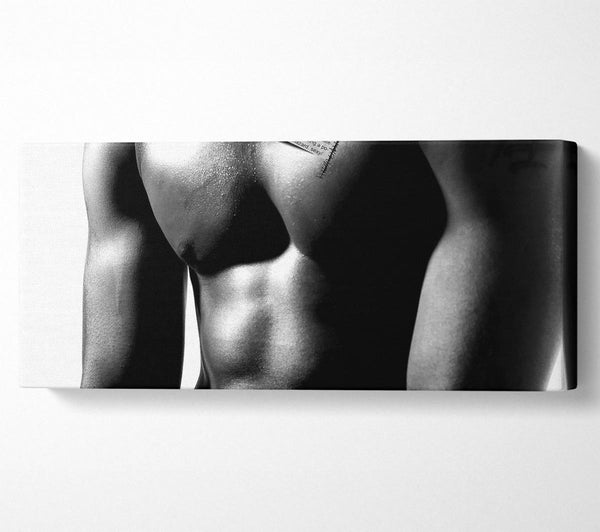 Male Body