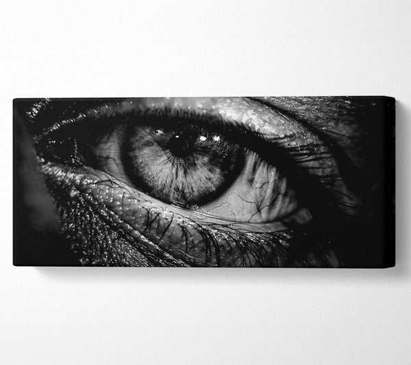 The Eye Of Knowledge