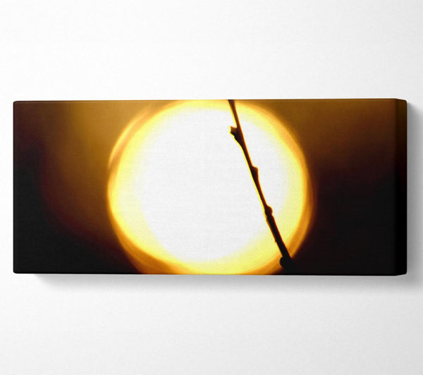 Light