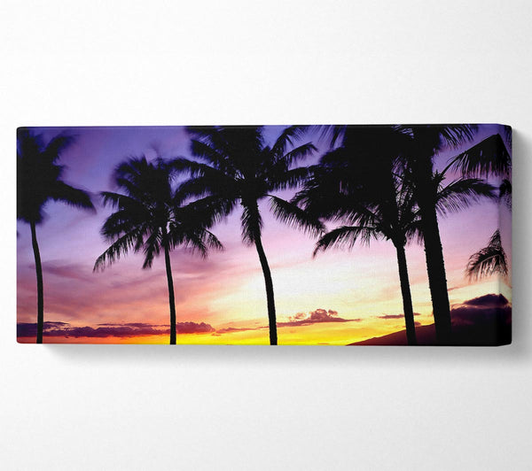 Palm Trees Sunset