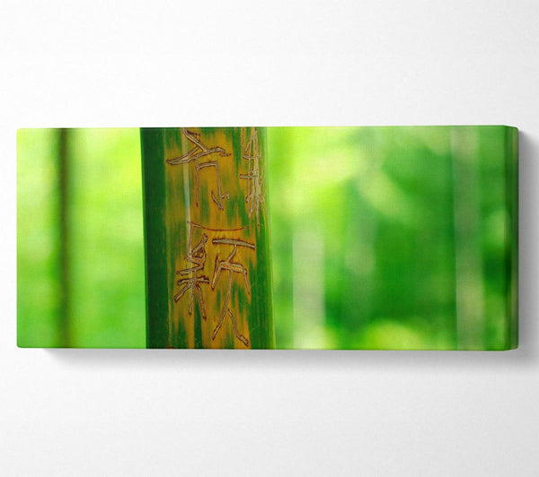 Engraved Bamboo