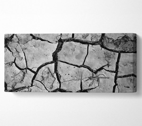 Cracked Mud
