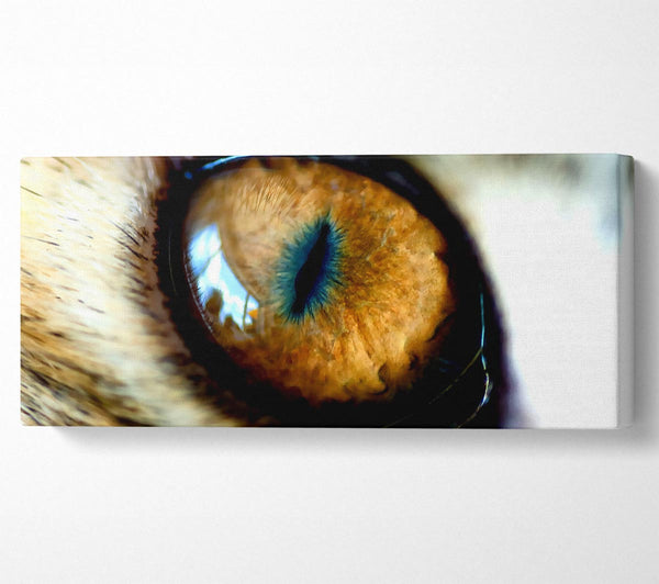 Mordor Eye