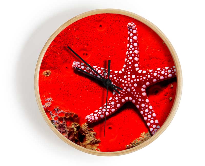 Red Starfish Clock - Wallart-Direct UK