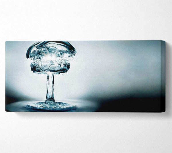 Water Bomb