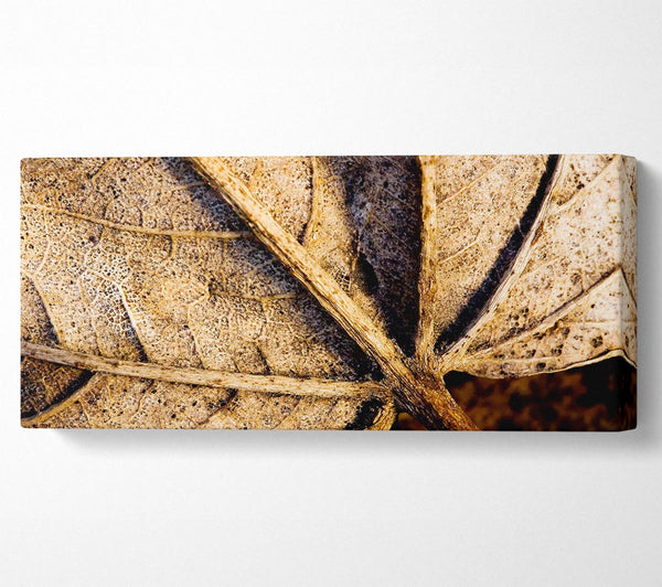 The Life Of A Leaf Chocolate