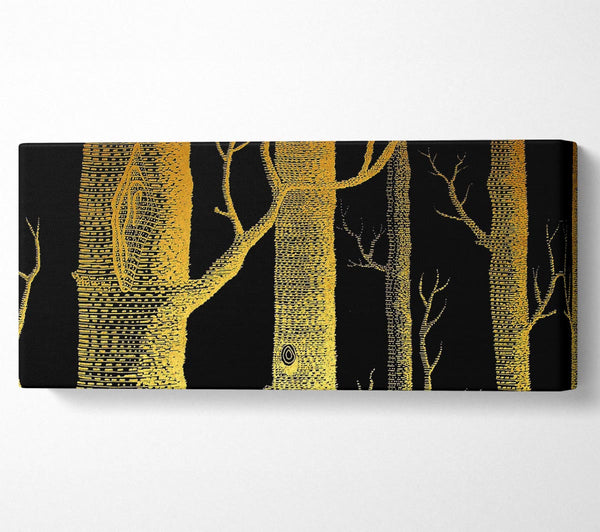 The Night Time Woodland