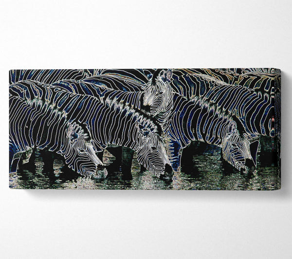 Zebra At The Watering Hole