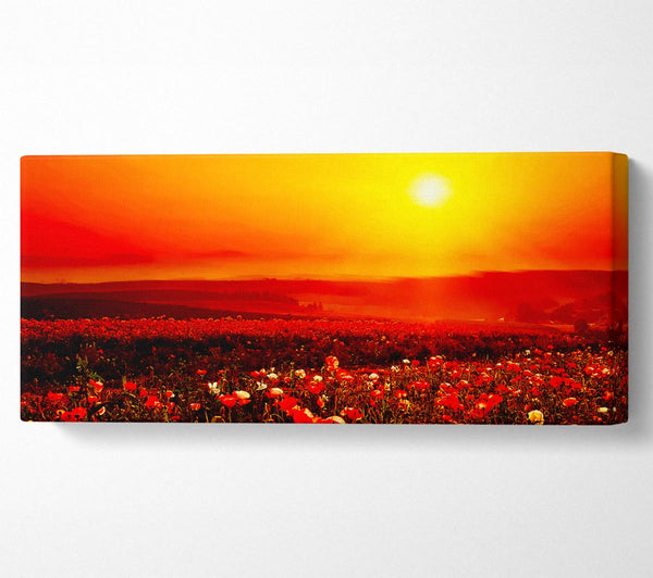 Poppy Field Mist
