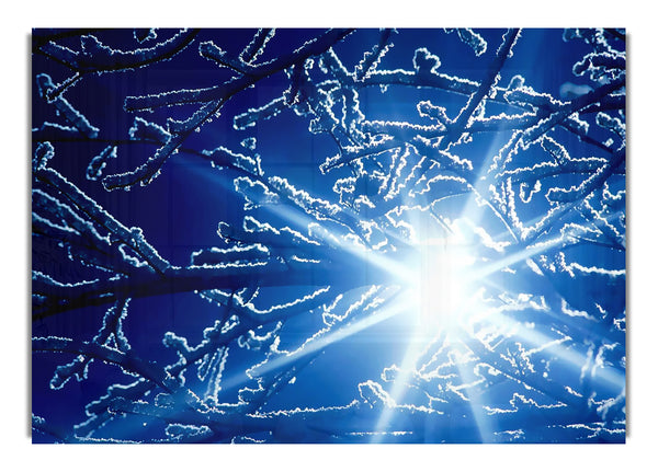 Winter Sun Rays