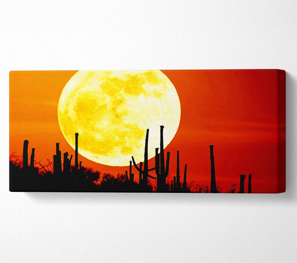 Red Moon Cactus