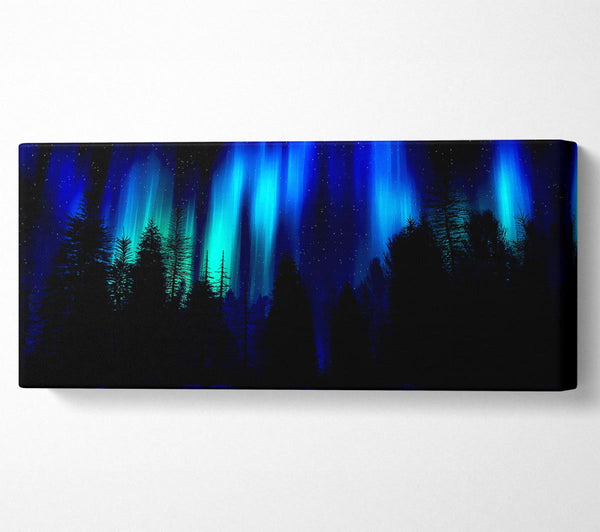 Blue Northern Lights Through The Forest