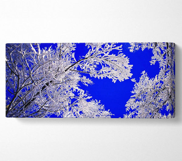 Winter Ice Tree In Sunlight