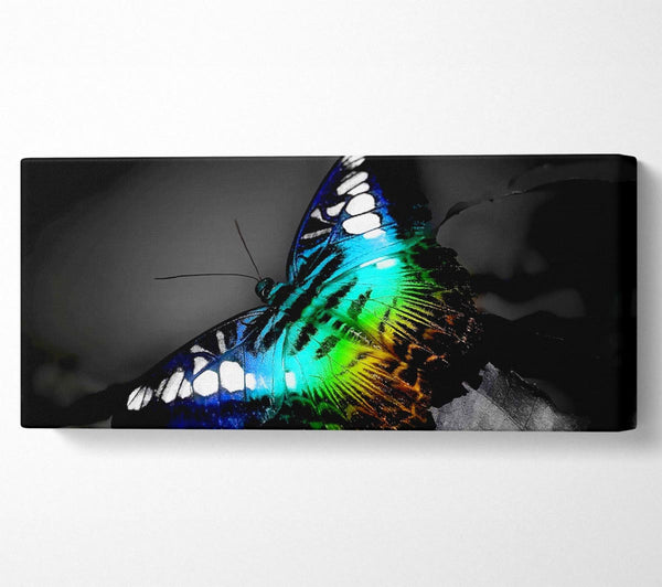 Psychedelic Butterfly 2