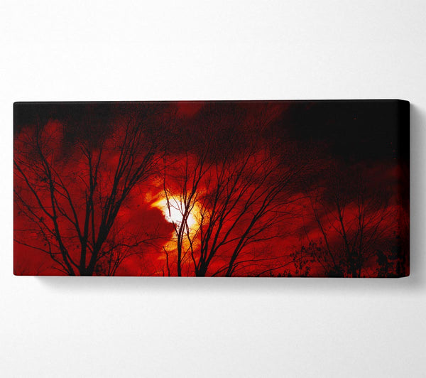 Red Moonlight