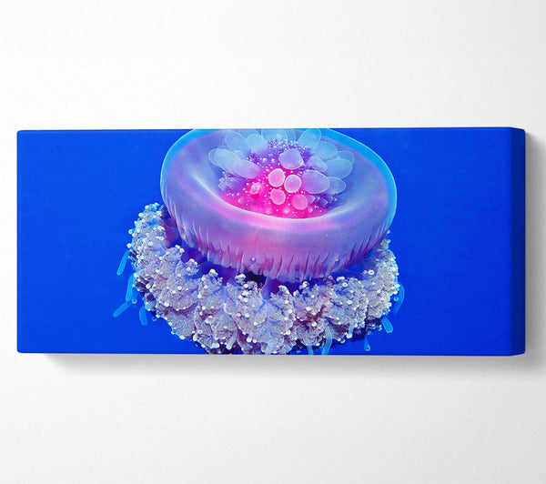 Neon Jellyfish