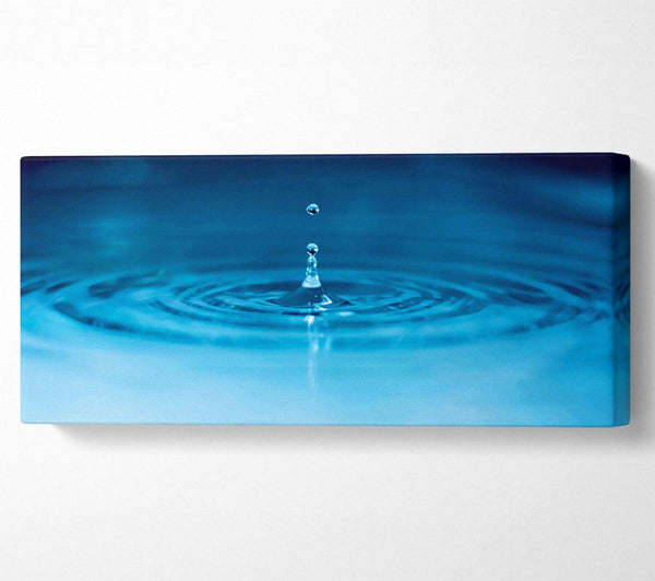 Tidal Wave Waters