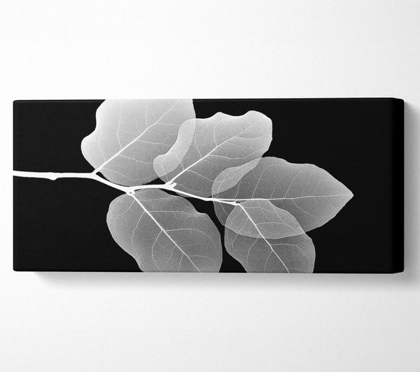 Winter Leaf