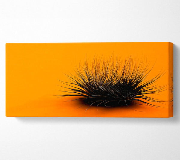 The Orange Thing
