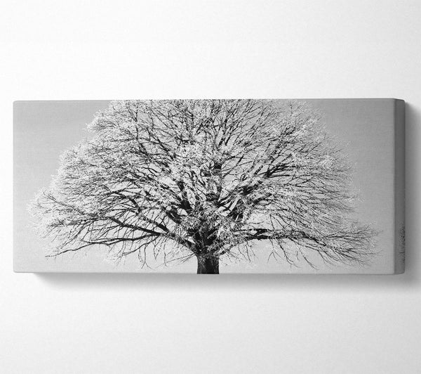 Winter Snow Tree B n W