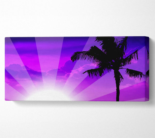 Purple Palmtree Sunrays