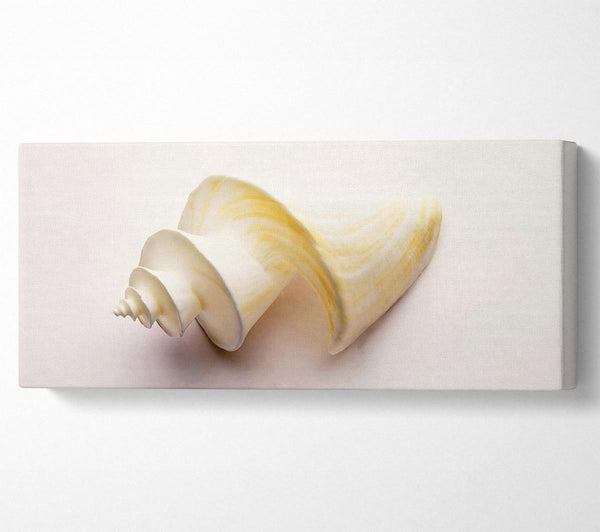Stunning White Shell