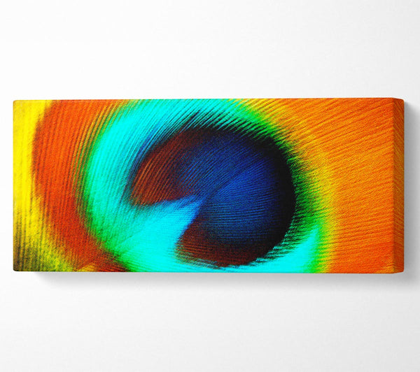 Peacock Feather Eye Close-Up