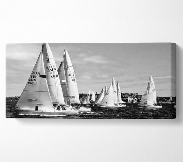 Sailboat Dream B n W