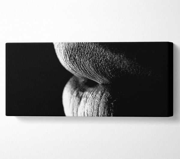 Sensual Lips B n W