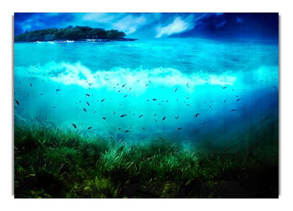 World Of Sea