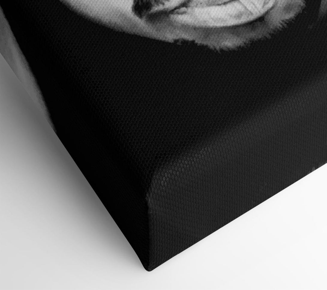  A Canvas Print of Tupac Face Canvas Print