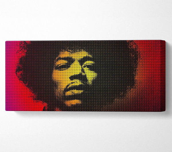Jimi Hendrix Face