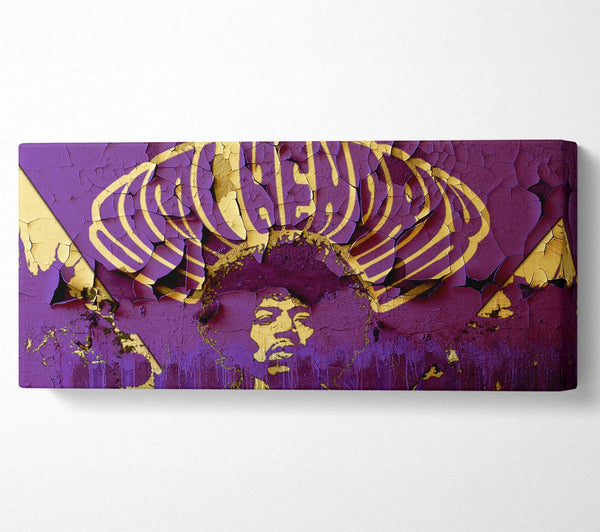 Jimi Hendrix Purple Haze