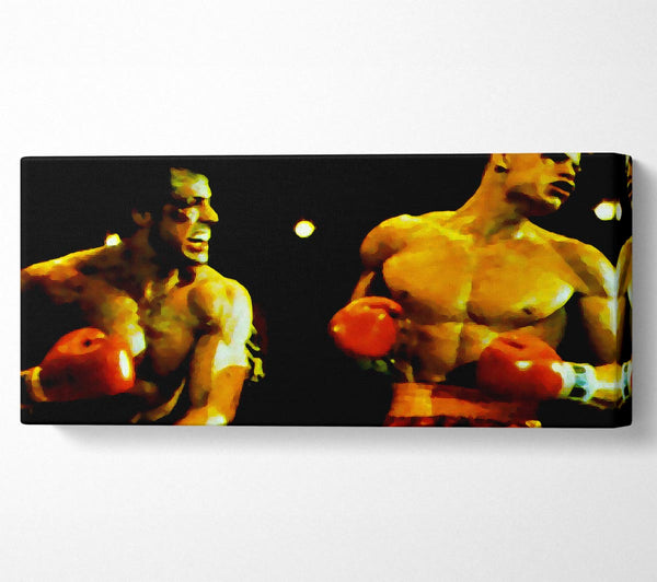 Rocky Fighting Back