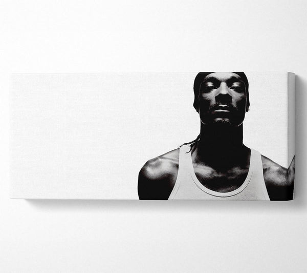 Snoop Dogg Music
