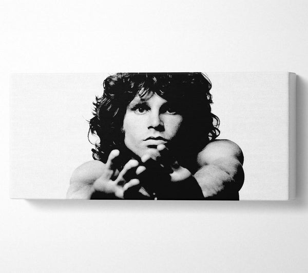 The Doors Jim Morrison