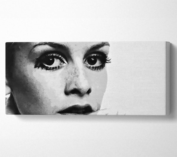 Twiggy First Top Model