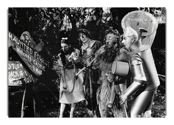 Wizard Of Oz Haunted Woods