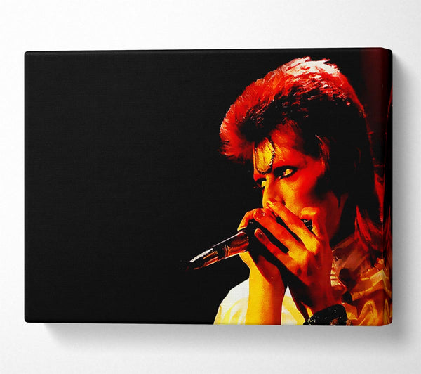  A Canvas Print of David Bowie Ziggy Pop Canvas Wall Art