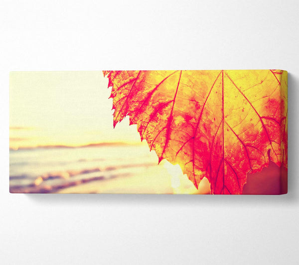 Rust Coloured Leaf