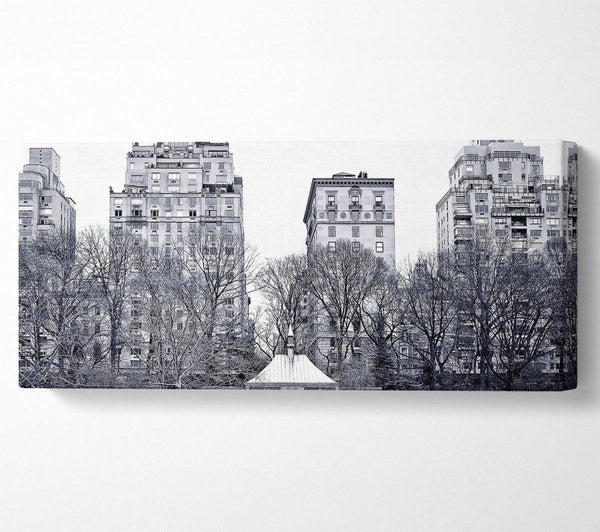 Central Park 2