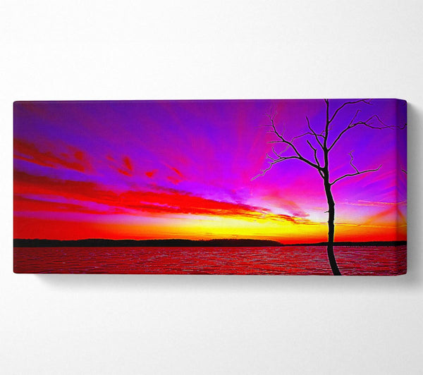 Sunset Tree Rainbow Skies
