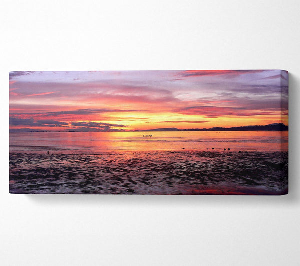 Sea Sunset Paradise